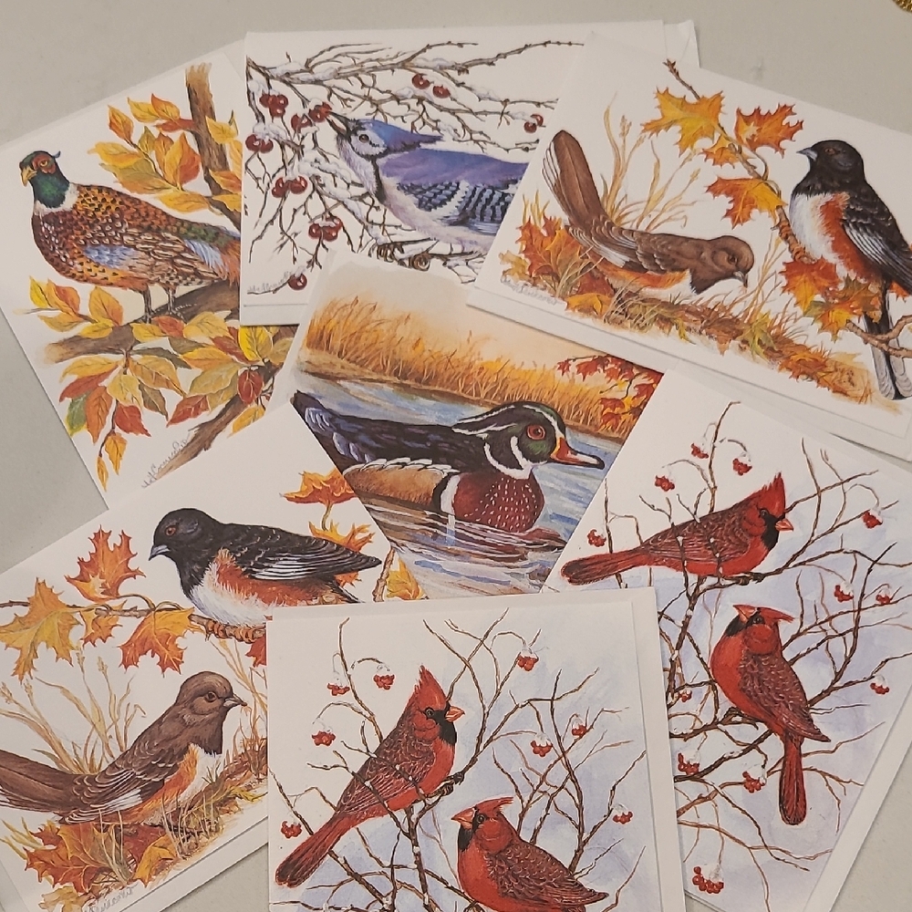 Hallmark Nature-Inspired Bird Stationery Set - Multicolor